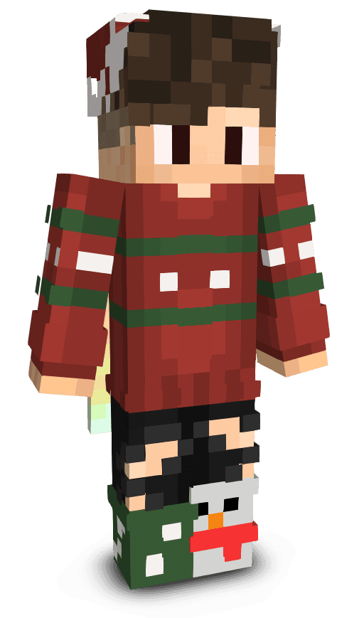 Player skin