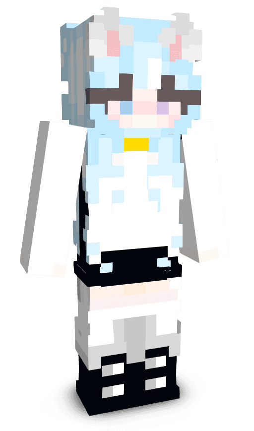 Player skin
