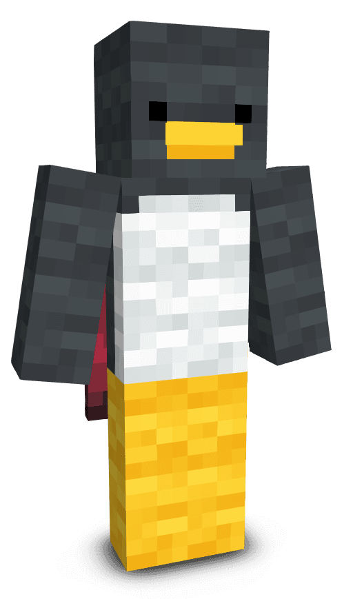 Player skin