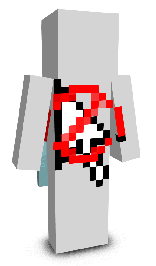 Player skin