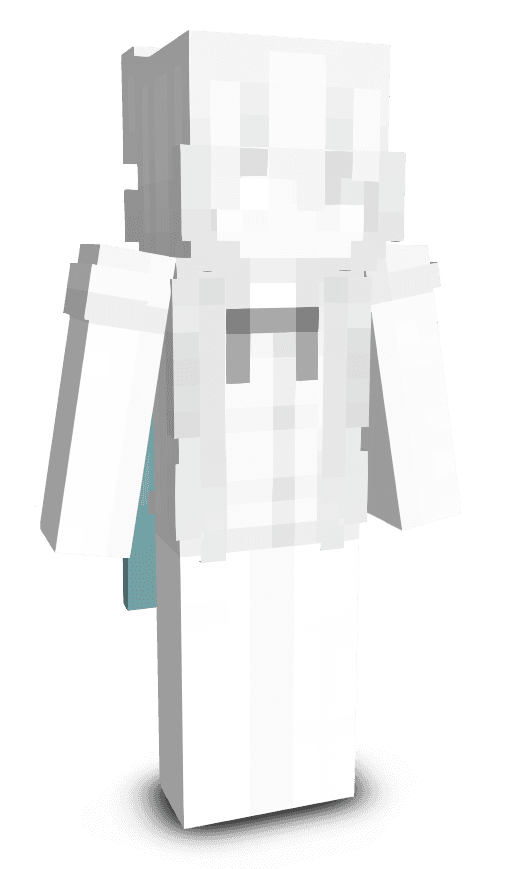Player skin