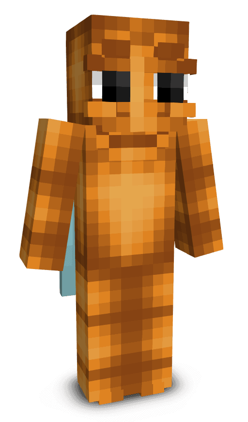 Player skin