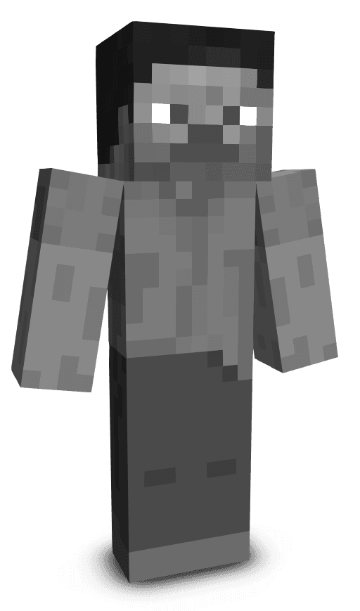 Player skin