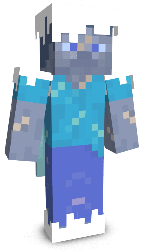 Player skin