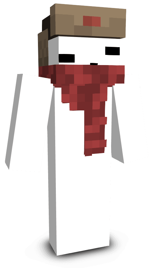 Player skin