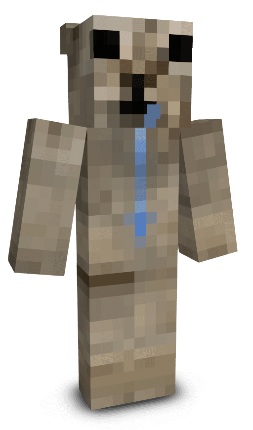 Player skin