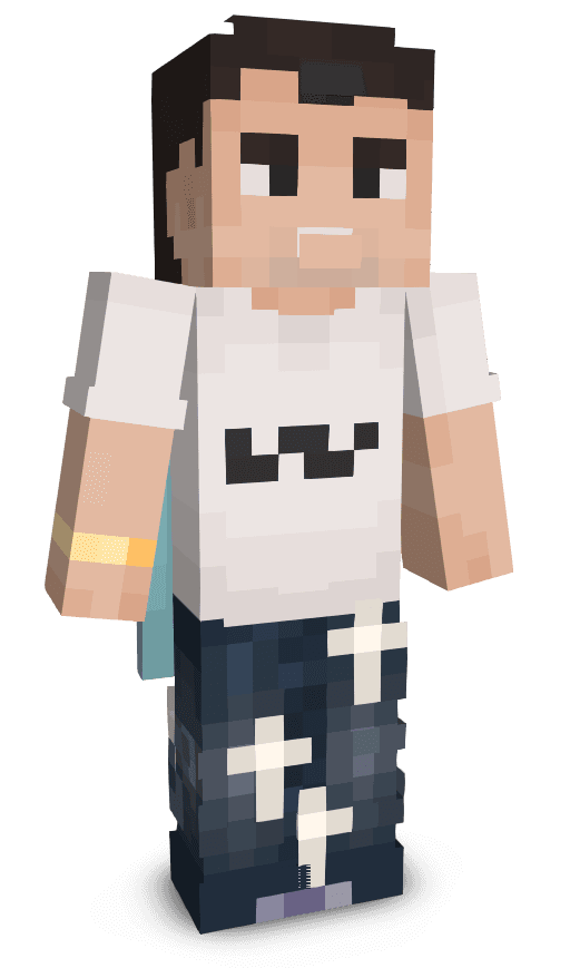 Player skin