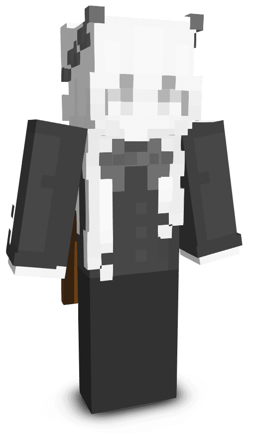 Player skin