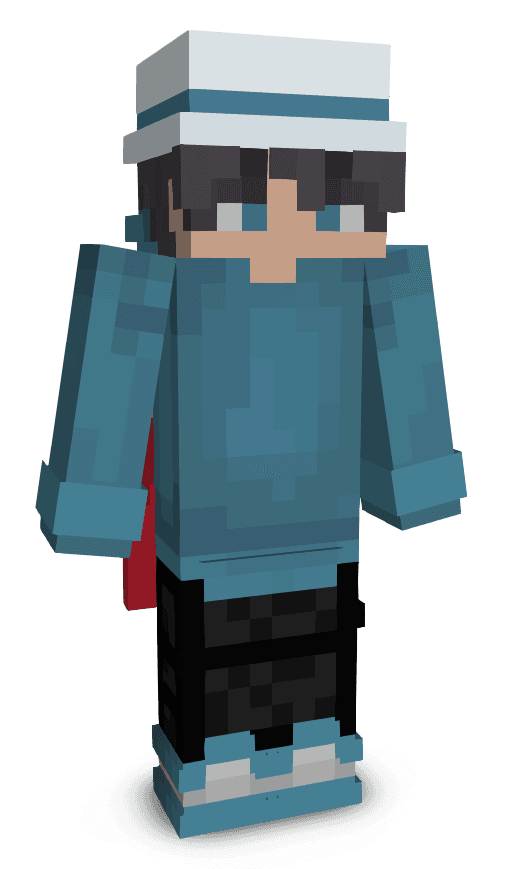 Player skin