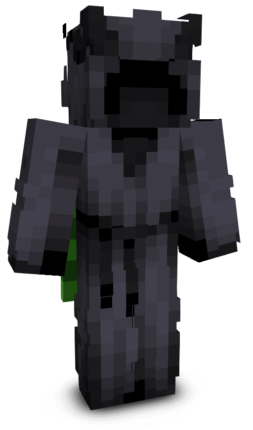 Player skin