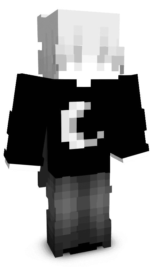 Player skin
