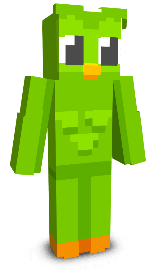 Player skin