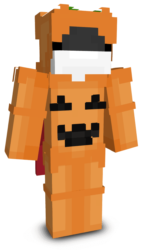 Player skin