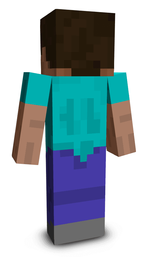 Player skin