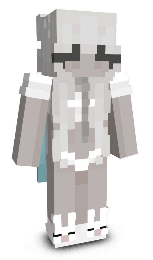 Player skin