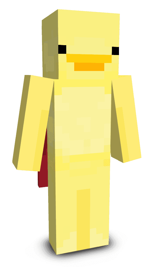 Player skin