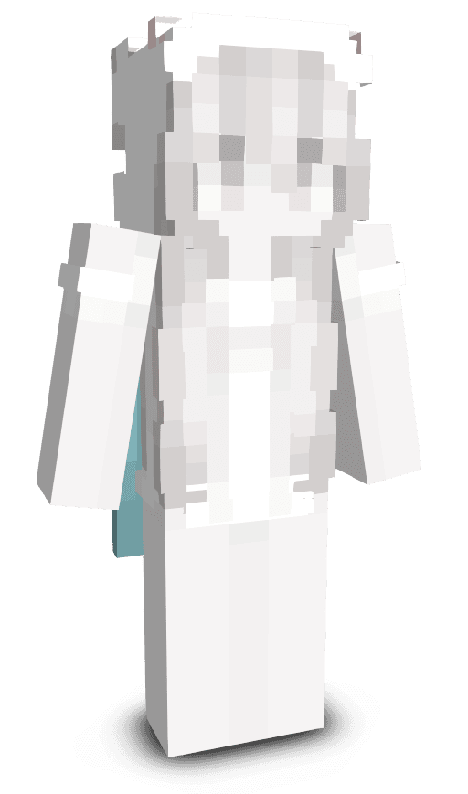 Player skin