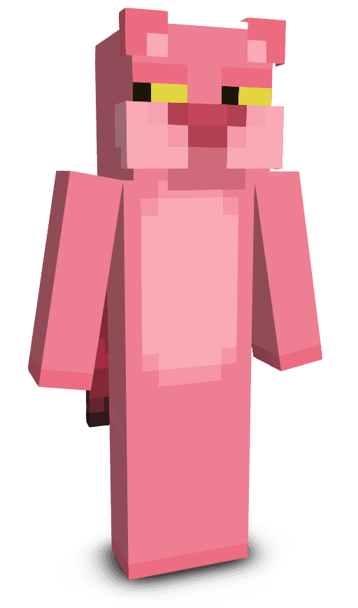 Player skin