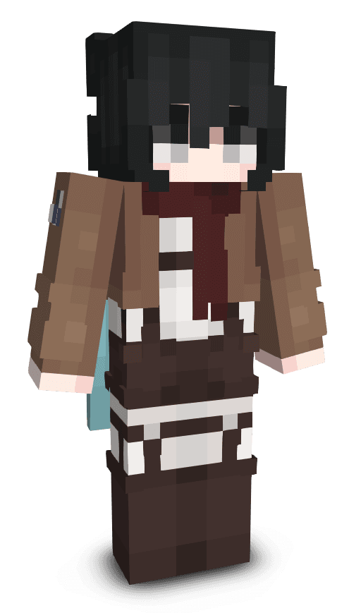 Player skin