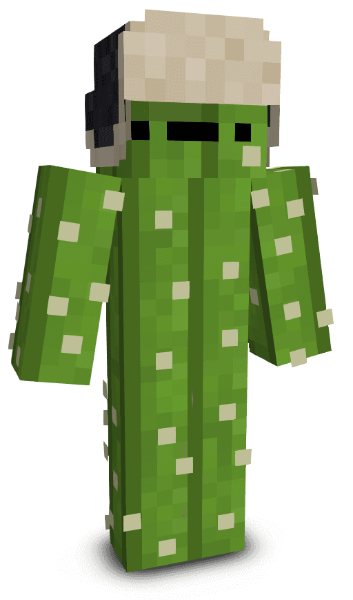 Player skin
