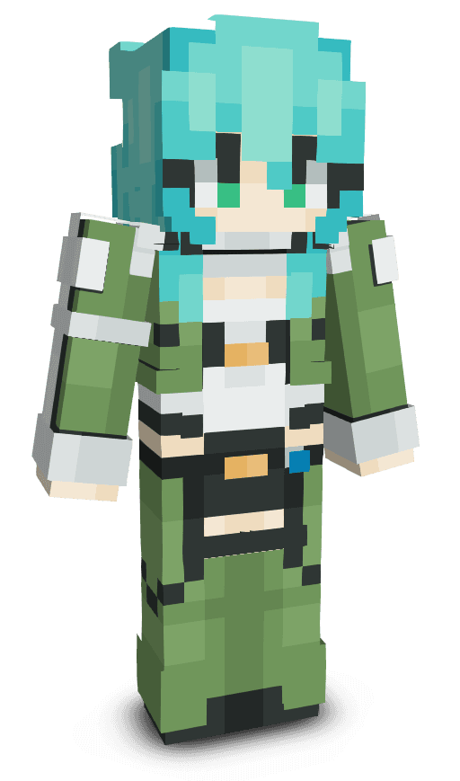 Player skin
