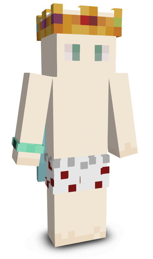 Player skin