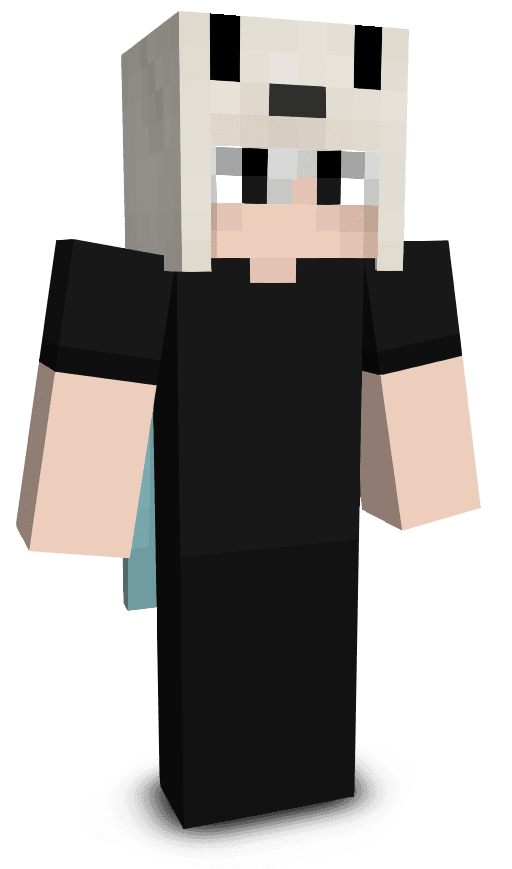 Player skin