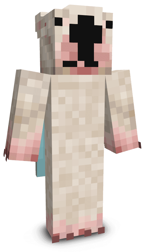 Player skin